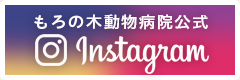 もろの木動物病院instagram