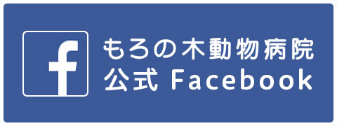 もろの木動物病院Facebook