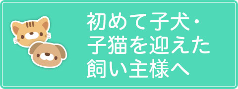 初めて子犬・子猫を迎えた飼い主様へ